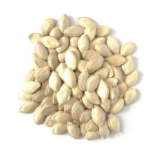 China Wholesale Export Top Quality Snow White Pumpkin Seeds